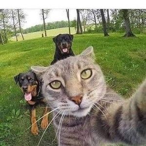 Meet your Posher, Maryann